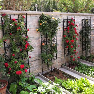 靠墙爬藤架铁艺网格玫瑰花墙风车茉莉藤本月季爬藤架网栅栏花架子