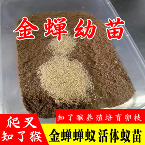262人付款淘宝种香菇打孔器木耳锤羊肚菌种子金蝉卵枝杏鲍包茶树自蘑