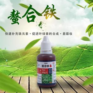 螯合铁铁肥液体叶面肥硫酸亚铁果树补铁预防黄叶植物黄化转绿叶