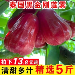 泰国黑金刚莲雾果5斤整箱当季孕妇新鲜水果脆甜现摘大果海南特产