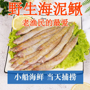 新鲜凤尾鱼海泥鳅面条鱼新鲜海捕冷冻皮条鱼纯条海鱼海鲜水产
