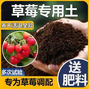 草莓专用营养土种植土多肉蔬菜种植家用阳台室内种花不生虫有机土