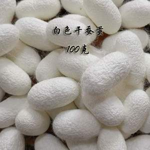 蚕蛹指套蚕丝天然洗脸桑蚕茧壳壳美容s完整开口蛹白色蚕茧入药泡