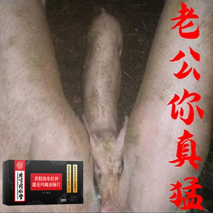 男士性保健品金枪丸不倒速效延时增粗增大硬度口服勃延长时间的药