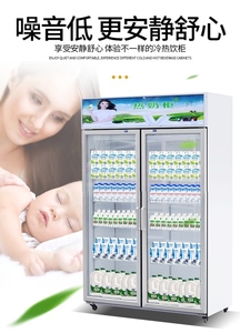 冷热两用商用展示柜家用牛奶饮料加热保温柜热饮小型车载冷藏柜