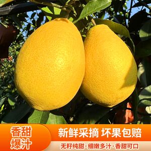 福建木瓜蜜丁柚子9斤新鲜水果当季孕妇西柚葡萄柚非脐橙柚子包邮