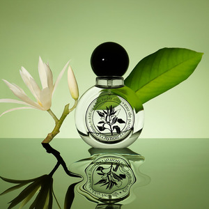 aynoir白兰花香水女士白玉兰持久缅桂黄角兰黄果兰清新小众淡香氛