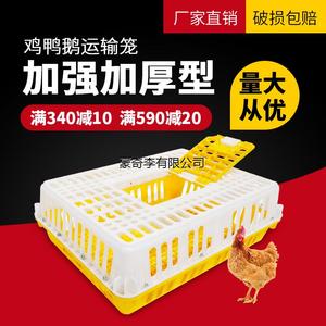 新疆西藏包邮鸡笼周转箱 鸡笼子运输养殖塑料家用大号特大筐 成鸡