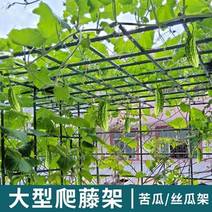 苦瓜架葡萄架子葫芦爬藤架猕猴桃藤架丝瓜百香果庭院户外支架牵引