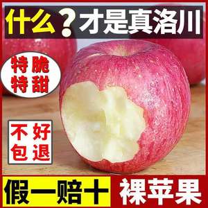 苹果10斤新鲜水果陕西洛川红富士丑苹果当季整箱冰糖心平安果包邮