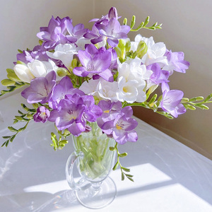香雪兰鲜花云南直发小苍兰昆明基地直批家用办公室水养插花包邮