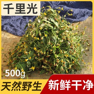 山桃仔头黄花地桃花地膏药黄花母千斤坠土黄芪尊益鲜旗舰店16