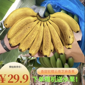 云南红河小芝麻香蕉现砍现发自然熟不打药当季水果新鲜banana包邮