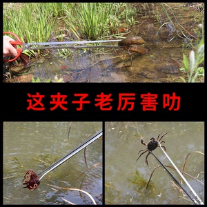 捕黄鳝夹