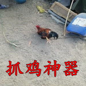 tb688325972淘宝欧洲进口代户外捕鸡套网抓鸡神器捕山鸡竹鸡m笼专用