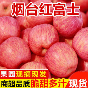 山东烟台红富士苹果10斤水果新鲜应当季整箱萍果冰糖心丑平果包邮