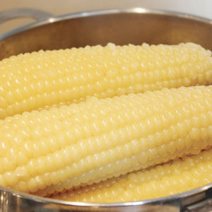超甜糯玉米