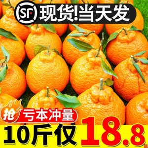 四川不知火丑橘10斤当季新鲜水果丑八怪粑粑蜜耙耙桔子柑整箱包邮