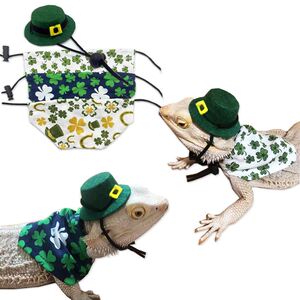 蜥蜴 帽 衣服 爱尔兰节 圣.帕特里克节 爬宠外出 遛蜥蜴变身装