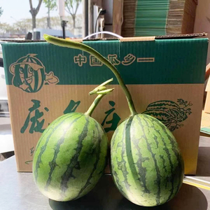 00真真小柱子淘宝北京庞各庄小西瓜新鲜水果吊瓜头茬西瓜吊秧瓜整箱