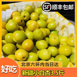 新疆小白杏哈密新鲜水果3.5斤库车白杏子甜杏特产黄杏当季顺丰