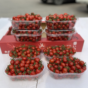 小番茄整盒