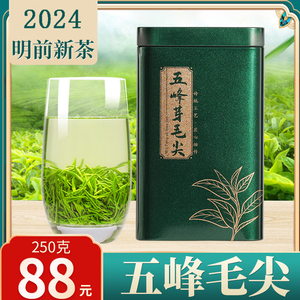 五峰芽毛尖2024新茶湖北宜昌绿茶三峡云雾高山栗香特级炒青罐装