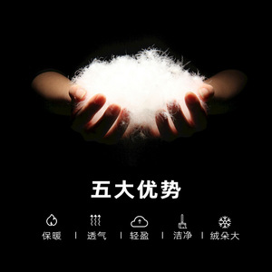 羽绒厂家直供90白鸭绒新国标90羽绒纯白大朵水洗羽绒羽毛价格