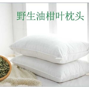 儿童正宗新鲜晒干野生油柑叶枕芯幼儿夏凉枕牛柑叶油甘叶保健枕