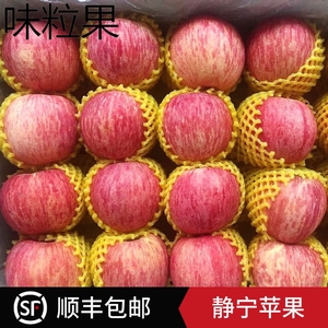 甘肃静宁苹果脆甜红富士冰糖心苹果自家果园春季水果产地直发