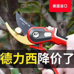 德国进口sk5修枝剪园林果树粗枝省力剪子绿化修树枝专用剪刀花剪