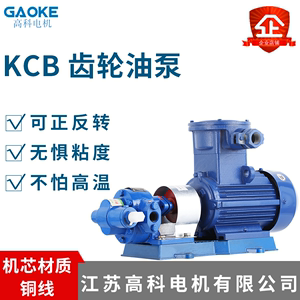 KCB齿轮油泵三相380V化工220V家用单相柴油高压防爆电机自吸泵