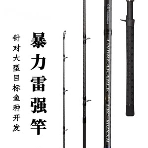 新款远投打黑专用竿雷强竿xxh快调超硬重雷枪柄路亚竿超轻黑鱼竿