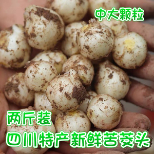 新鲜现挖苦藠头小根蒜两斤装团葱苦叫小蒜头四川茭头野葱头薤白