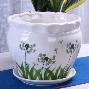 好看的陶瓷花盆客厅