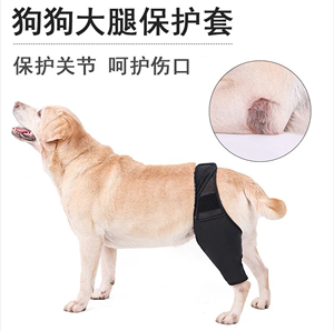 狗狗髌骨保护带宠物腿部受伤固定护具骨折术后护膝辅助恢复保护套