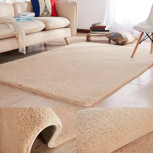 毛绒地毯床边床前加厚毯羊毛混纺卧室羊羔绒毯客厅地垫大面积全铺