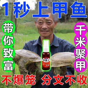 甲鱼小药诱聚剂春夏季专用老鳖甲鱼水鱼乌龟诱饵药水野钓户外饵料