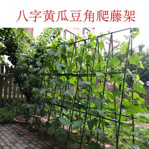 豆角爬藤架竹竿黄瓜蔬菜架子家庭种植菜园蔬菜支撑架大棚骨架户外