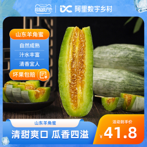 【数乡宝藏】山东羊角蜜甜瓜新鲜水果2.25kg当季香瓜包邮a