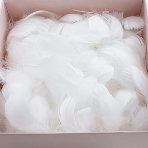 白色羽毛装饰DIY手工饰品材料配件马卡龙色礼盒填充柔软彩色羽毛