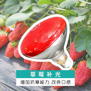 大棚增温补光灯