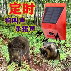 赶野猪驱赶神器狗叫声加枪声人体感应户外大音量农场地报警器野外