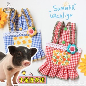 小香猪衣服夏天宠物猪穿的衣服可爱泰国迷你网红小香猪生活专用品