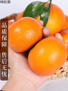 沃柑9斤新鲜水果当季整箱一级沙糖蜜橘丑柑橘桔子广