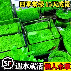 生态玻璃鱼缸小型水草种植物氧气泵增氧机养鱼超静音家用打氧机器