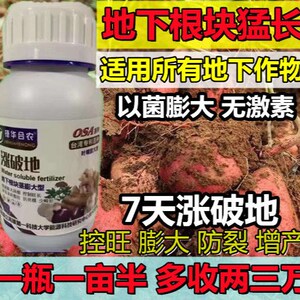 涨破地,地下根茎膨大素膨大剂大姜芋头土豆红薯材增产叶面肥