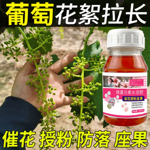 葡萄保花保果拉穗专用水溶肥强效坐果灵葡萄树肥料授粉非药坐果精