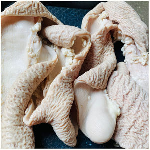 新鲜冷冻5斤牛大肠去油免洗牛板肠半熟半成品牛杂牛大肠火锅食材