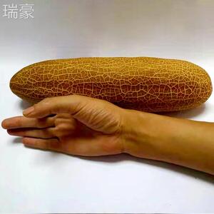 东北农家蔬菜老黄瓜msj老种鲜包邮酸黄瓜新麻皮斤黄瓜种老黄瓜5左